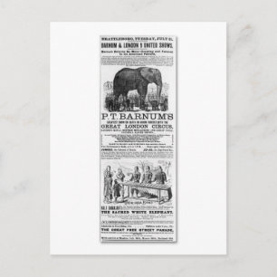 Barnum & London 9 United Shows Ad Postcard