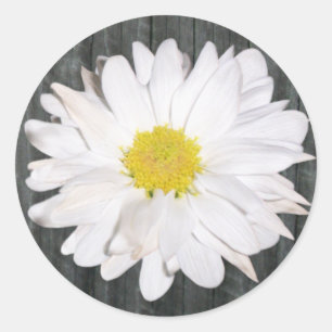 Barnwood and Daisy Sticker