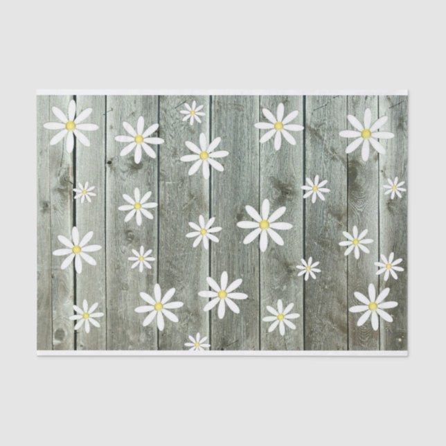 Barnwood Daisy Tissue Paper (Front)