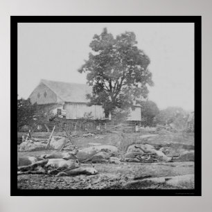 Barnyard and Horses in Gettysburg 1863 Poster
