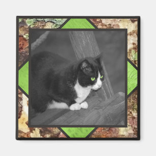 Barnyard Cat Magnet