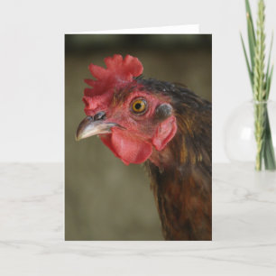 Barnyard Mix Hen Card