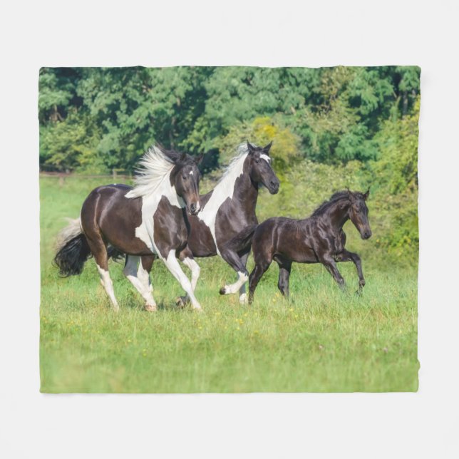 Barock Pinto Horses Herd with Cute Foal Galloping  Fleece Blanket (Front (Horizontal))