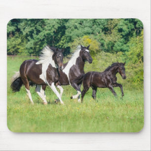 Barock Pinto Horses Herd with Cute Foal Galloping  Mouse Mat