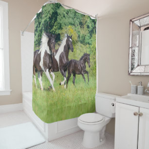 Barock Pinto Horses Herd with Cute Foal Galloping  Shower Curtain