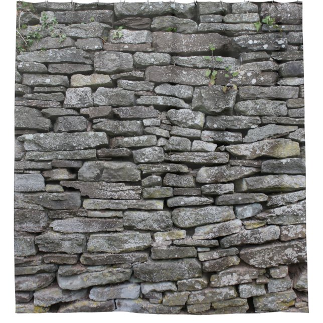 Baroque Damask: Luxury Floral Pattern Shower Curtain (Front)