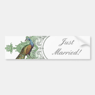 Baroque Peacock Just Married - aqua blue Bumper Sticker