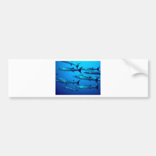 barracuda dive deep sea ocean water tropical wave bumper sticker