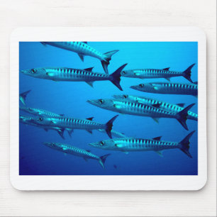barracuda dive deep sea ocean water tropical wave mouse mat