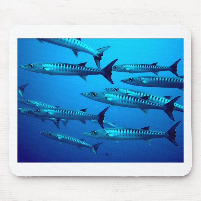 barracuda dive deep sea ocean water tropical wave mouse mat (Front)