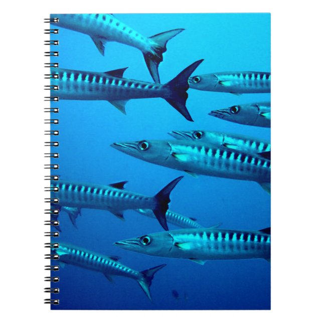 barracuda dive deep sea ocean water tropical wave notebook (Front)