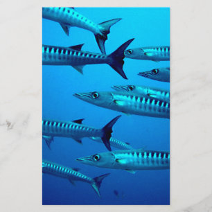 barracuda dive deep sea ocean water tropical wave stationery