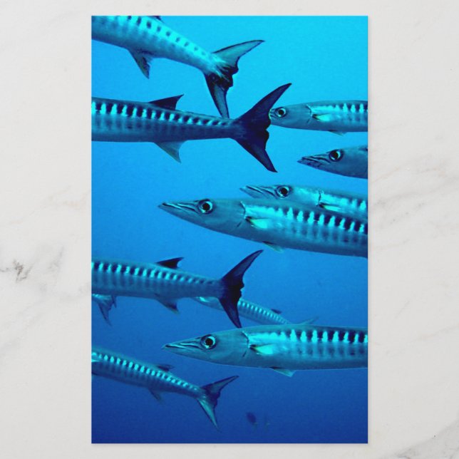 barracuda dive deep sea ocean water tropical wave stationery (Front)