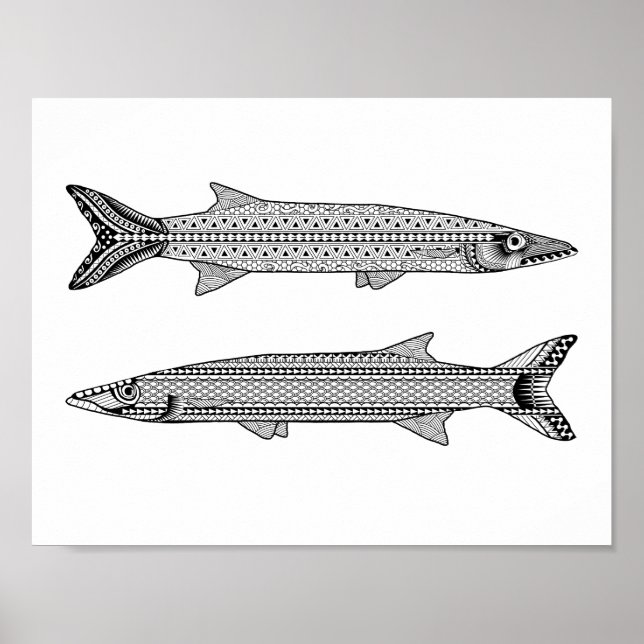 Barracuda Fish Adult Colouring Poster (Front)
