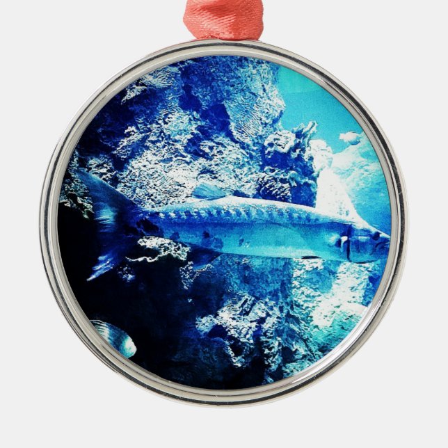 Barracuda Metal Tree Decoration (Front)
