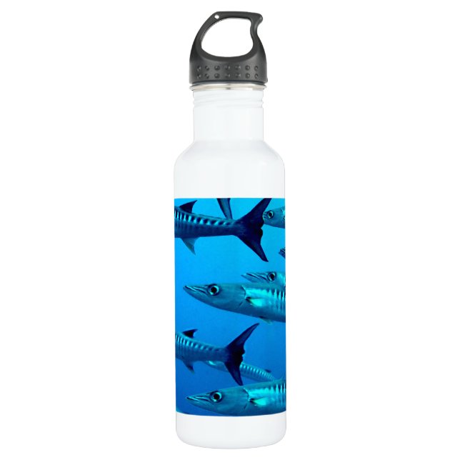 Barracudas 710 Ml Water Bottle (Front)