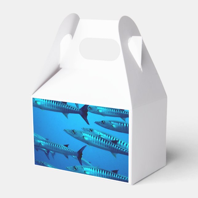 Barracudas Favour Box (Back Side)