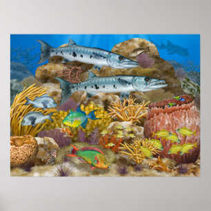Barracudas Over Coral Reef Poster