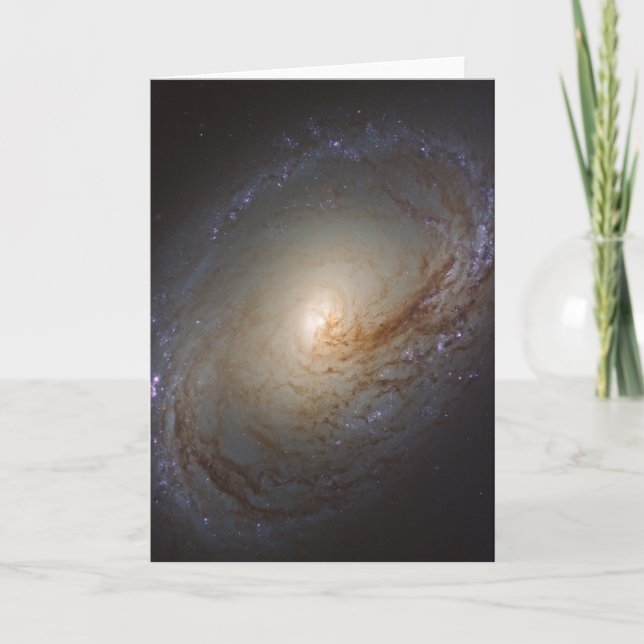 Barred Lenticular Galaxy Ngc 3368 Card (Front)