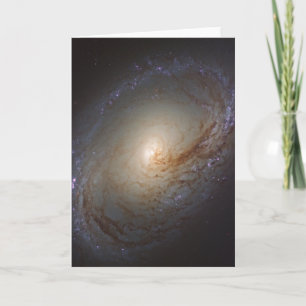 Barred Lenticular Galaxy Ngc 3368 Card