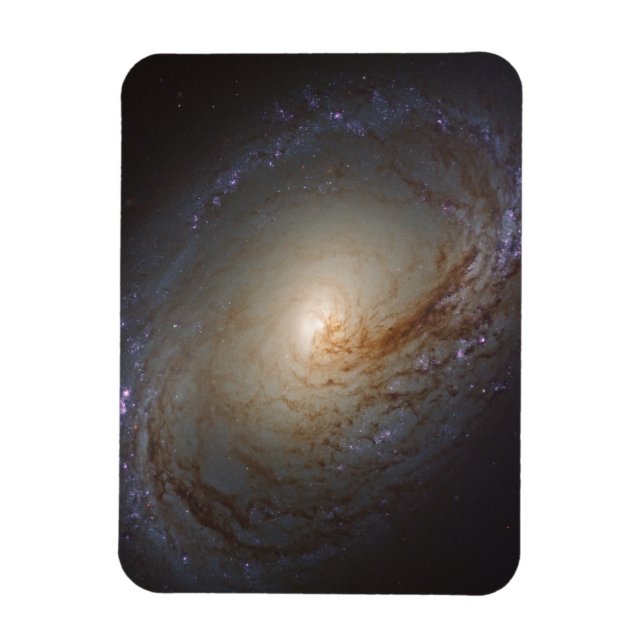 Barred Lenticular Galaxy Ngc 3368 Magnet (Vertical)