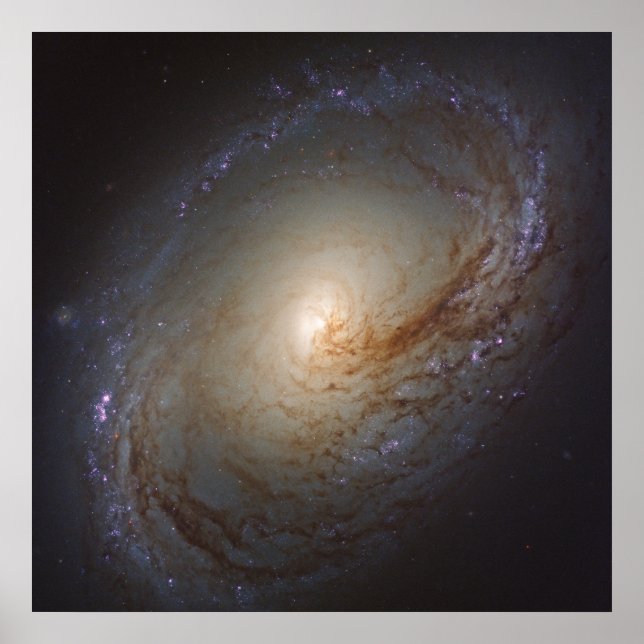 Barred Lenticular Galaxy Ngc 3368 Poster (Front)