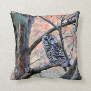 Barred Owl 6308 Cushion