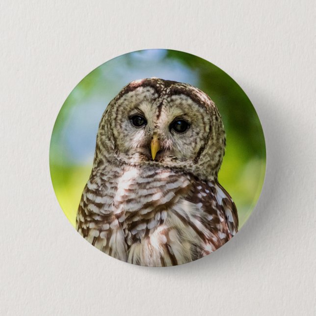 Barred Owl 6 Cm Round Badge (Front)