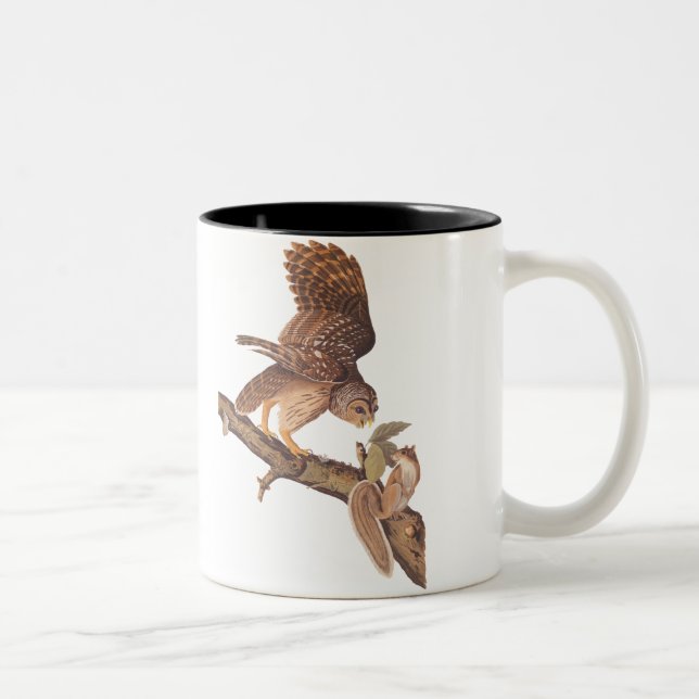 Barred Owl and Happy Squirrel Audubon Art Two-Tone Coffee Mug (Right)