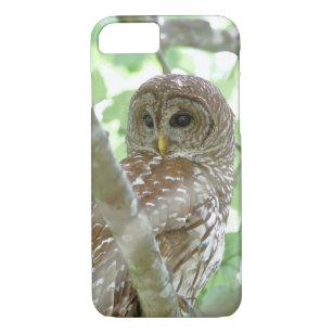 Barred Owl Apple iPhone 7 Case
