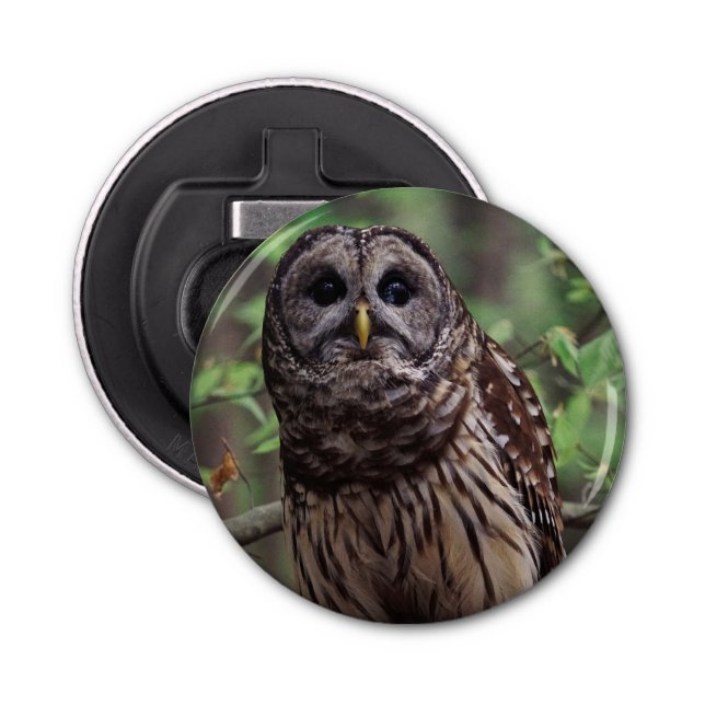 Barred Owl Bottle Opener (Front)