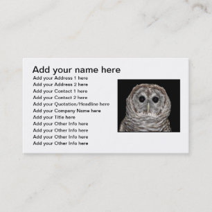 Barred Owl Business Card