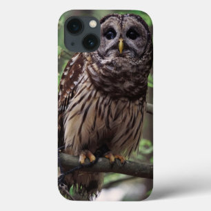 Barred Owl iPhone 13 Case