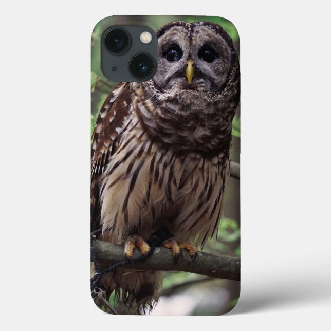 Barred Owl Case-Mate iPhone Case (Back)