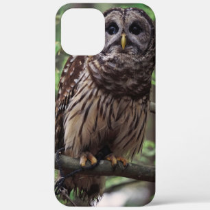 Barred Owl iPhone 12 Pro Max Case