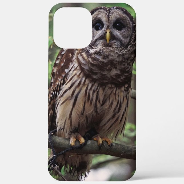 Barred Owl Case-Mate iPhone Case (Back)