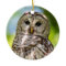 Barred Owl