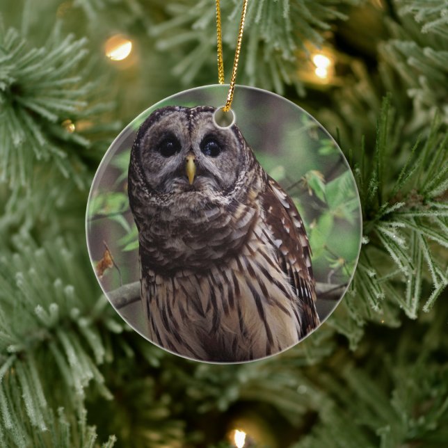 Barred Owl Ceramic Tree Decoration (Tree)