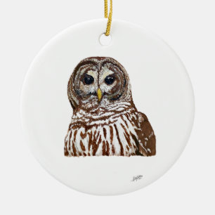 Barred Owl Ceramic Tree Decoration