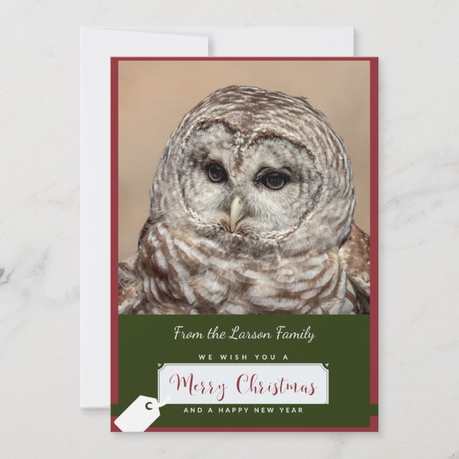 Barred Owl Christmas Card (Front)