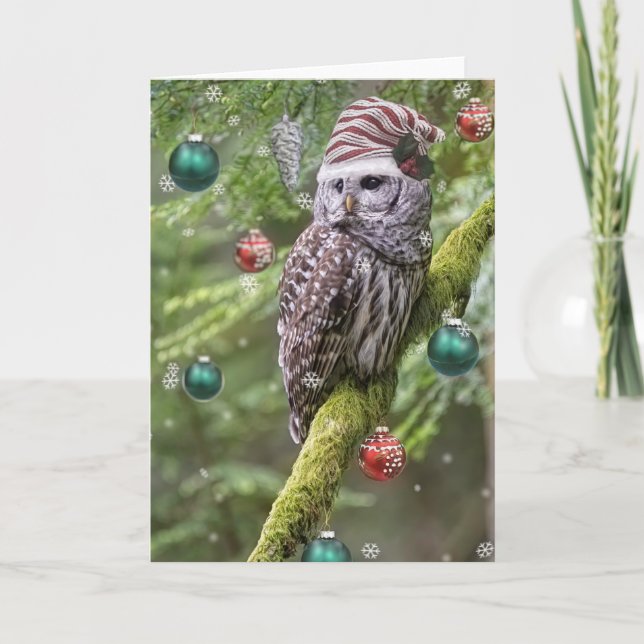 Barred Owl Christmas Holiday Card (Front)