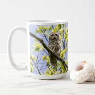 Barred Owl Coffee Mug