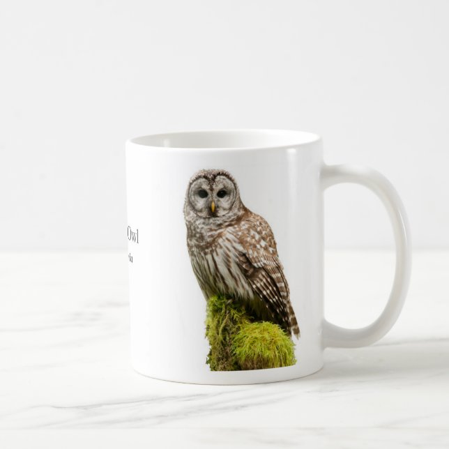 Barred Owl Coffee Mug (Right)