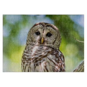 Barred Owl Cutting Board