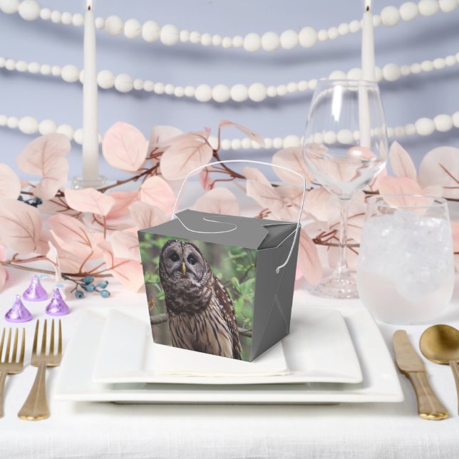 Barred Owl Favour Box (Wedding)