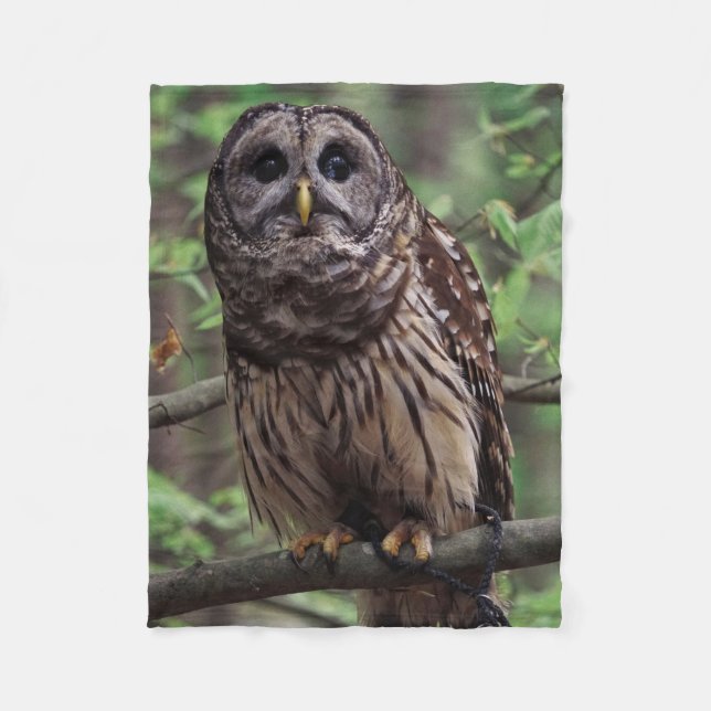 Barred Owl Fleece Blanket (Front)
