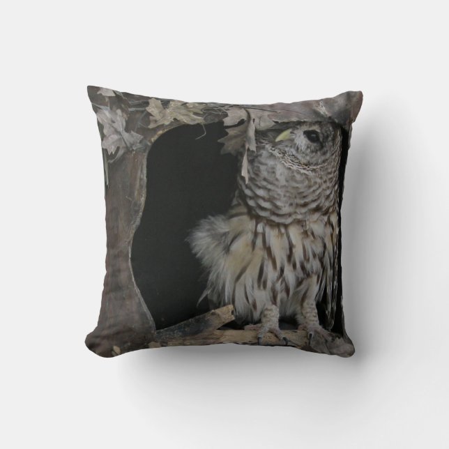 Barred Owl - Here's Looking at You! Cushion (Front)
