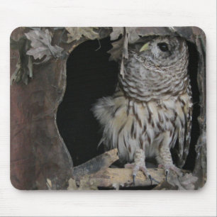 Barred Owl - Here's Looking at You! Mouse Mat