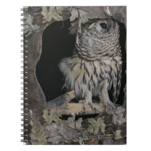 Barred Owl - Here's Looking at You! Notebook