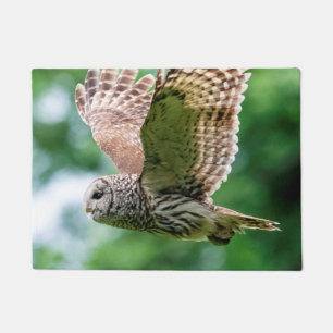 Barred Owl in flight Doormat